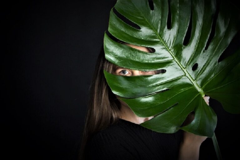 Tangan Jahil Kita, Monstera, dan Efek Kupu-Kupu