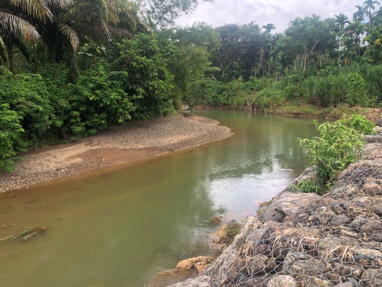 Sumber Foto Koleksi Pribadi @Eva