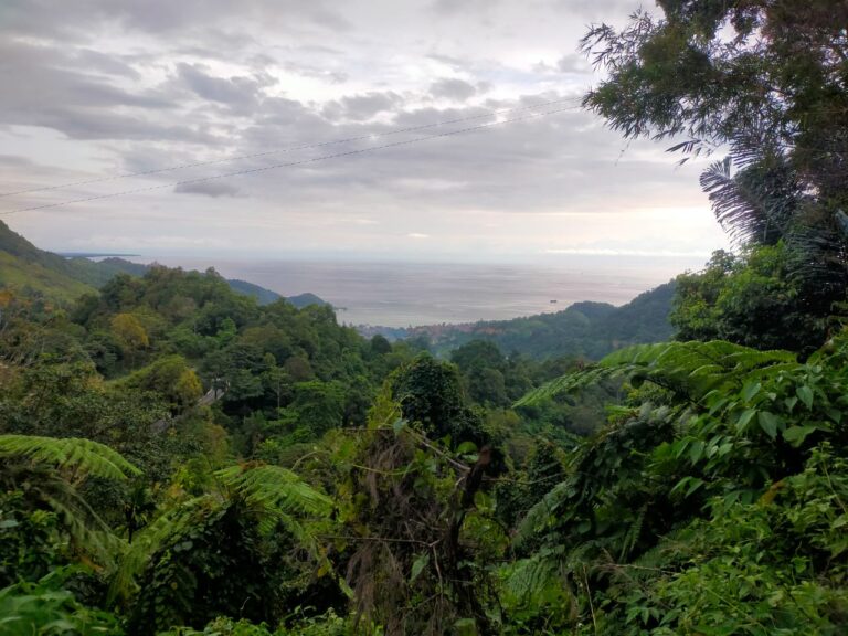Berbagi Ruang Dengan “Nenek”