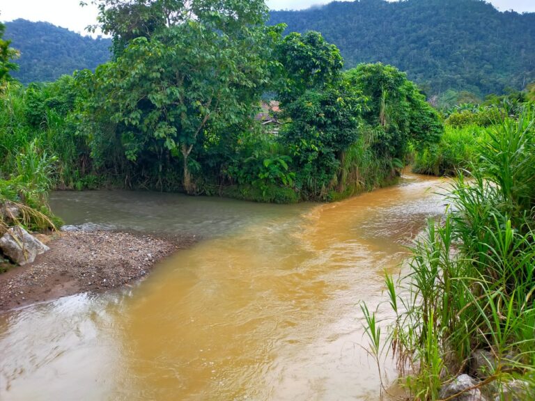 Menggamat Menjelang Tamat