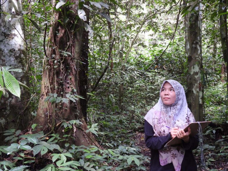 Sepak Terjang Rosi Sebagai Perempuan Konservasionis di Hutan Leuser
