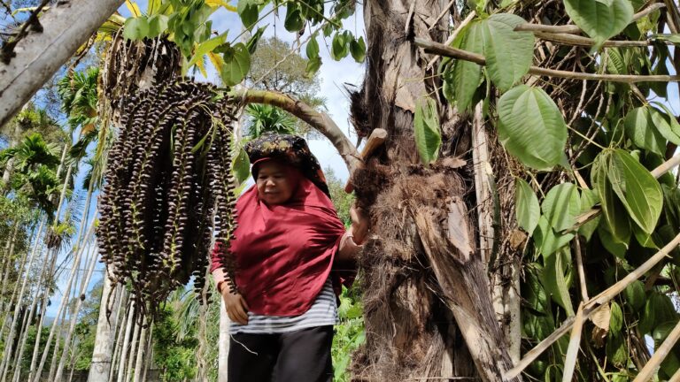 Putri yang Menjelma Menjadi Aren dan Kaitannya dengan Totemisme